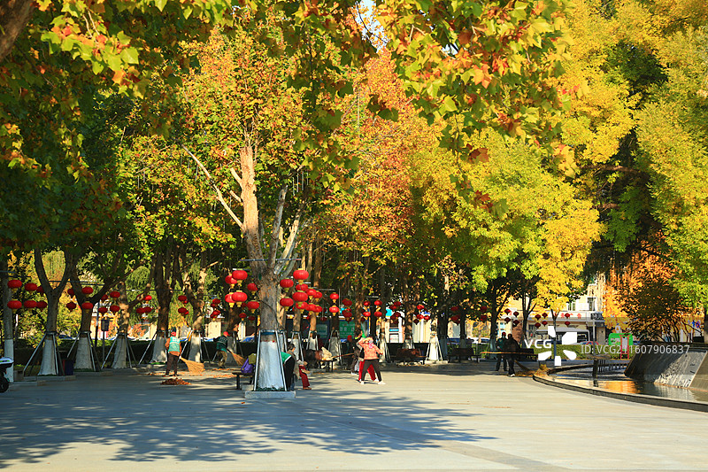 雄安新区雄县美景抓拍图片素材