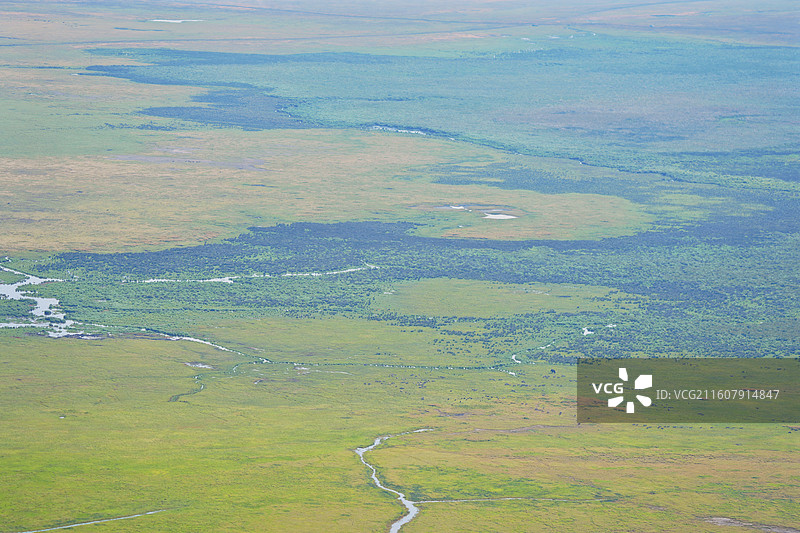 坦桑尼亚，恩戈罗恩戈罗火山口Ngorongoro Crater，自然风光图片素材