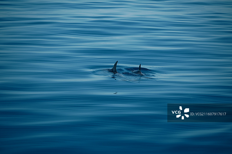 埃及赫尔格达红海图片素材