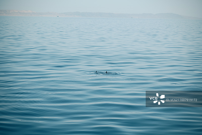 埃及赫尔格达红海图片素材