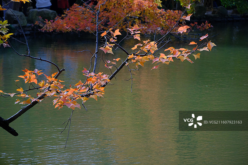 秋天的天平山图片素材