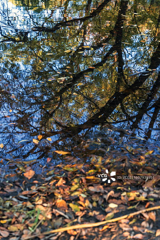 北京圆明园秋天风光图片素材