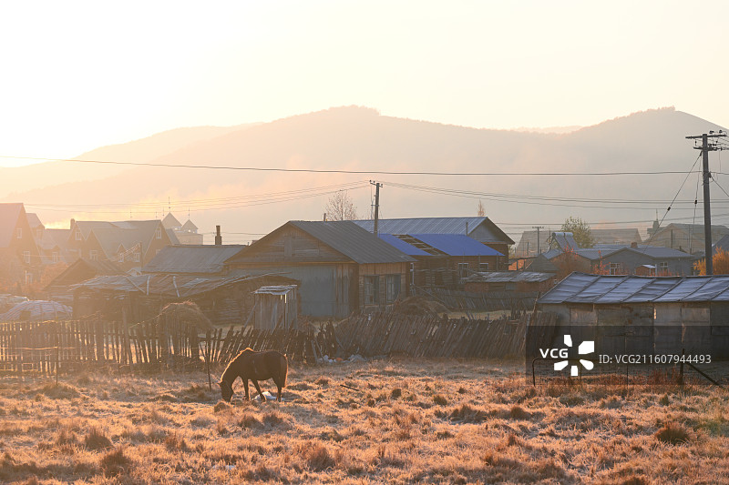 内蒙古恩和小镇的秋天图片素材