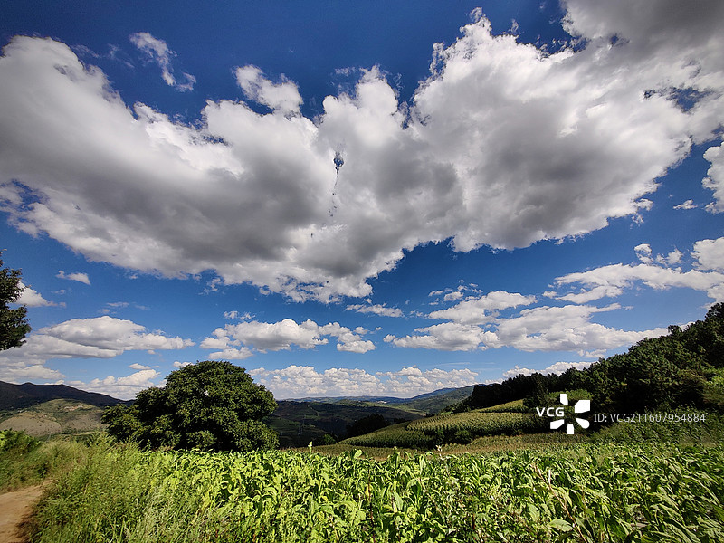 大美贵州，多彩威宁县牛棚镇营山村田园风光图片素材