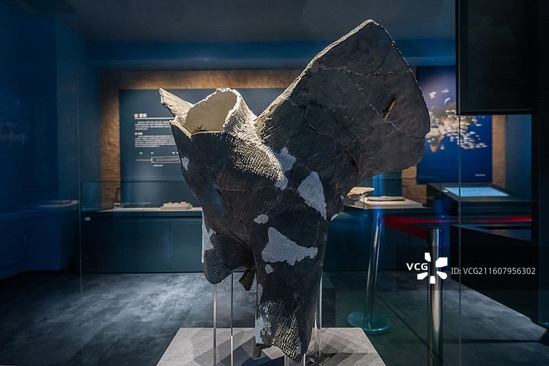 陕西省榆林市神木石峁博物馆陶鹰龙山晚期距今4300-3800年2018年石峁遗址皇城台出土图片素材