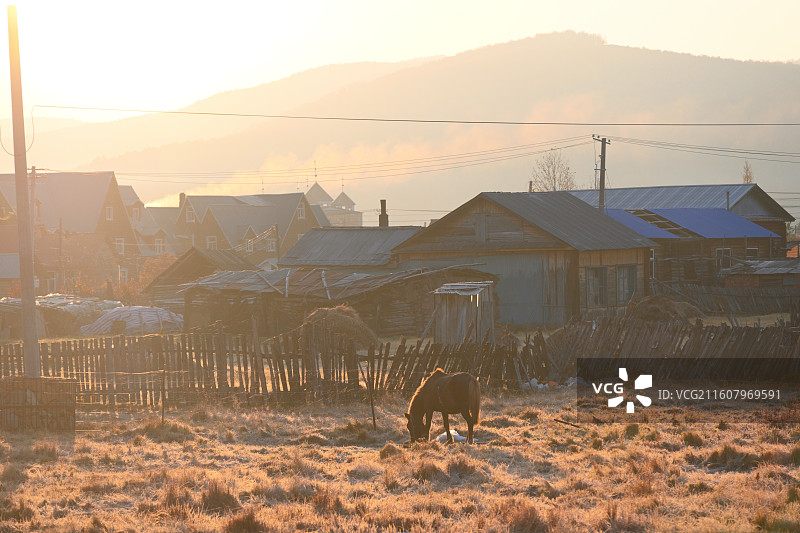内蒙古恩和小镇的秋天图片素材