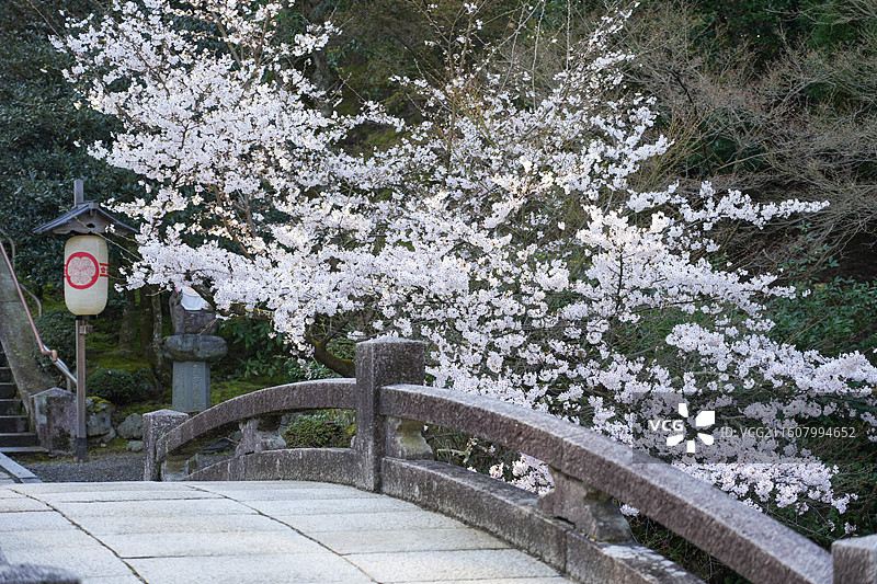 京都知恩院图片素材