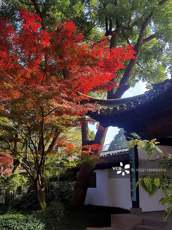 沈园半壁亭红叶图片素材