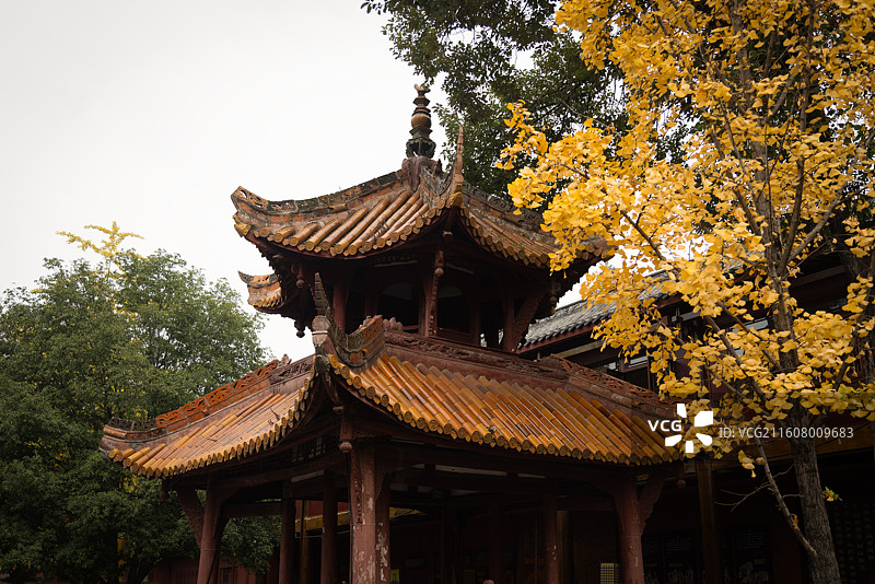 黄银杏叶映德阳文庙礼乐亭图片素材