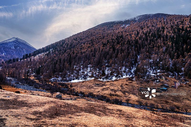 梭磨河谷的冬天图片素材