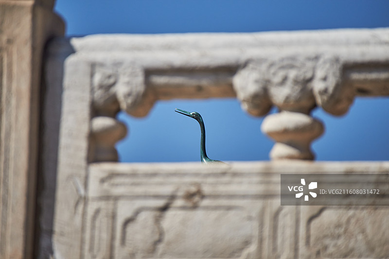 北京故宫紫禁城三大殿汉白玉基座及铜鹤雕塑雕像仙鹤图片素材