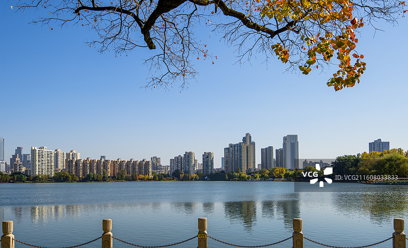 莫愁湖图片素材