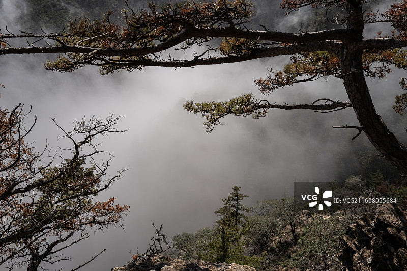 贺兰山国家森林公园图片素材