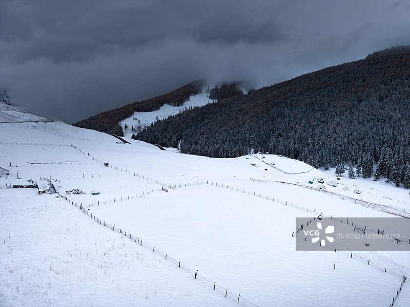 阿勒泰冬季林海雪原航拍图片素材