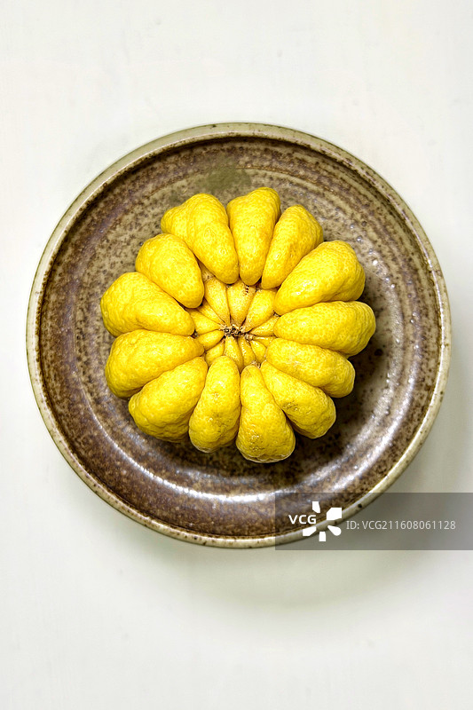 静待花开：佛手柑的曼陀罗造型图片素材