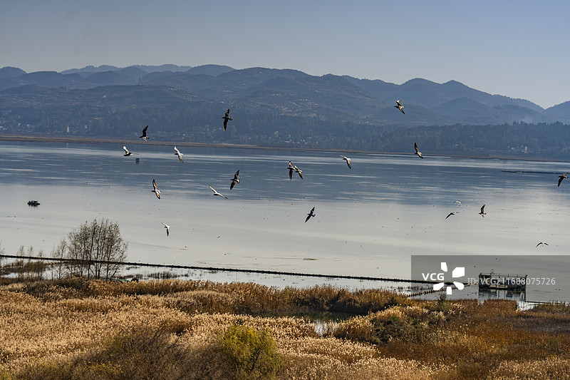 威宁草海图片素材