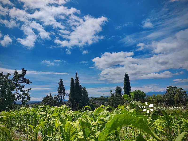 大美贵州，多彩威宁县迤那镇田园风光图片素材