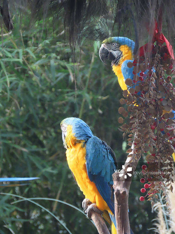 上海动物园的动物们图片素材