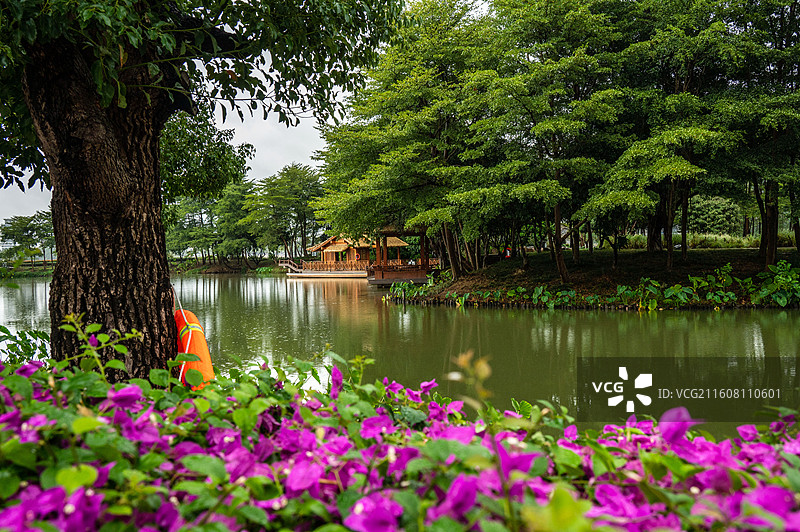 福州花海湿地公园湖水绿阴树木花卉草屋救生圈雨天.jpg图片素材