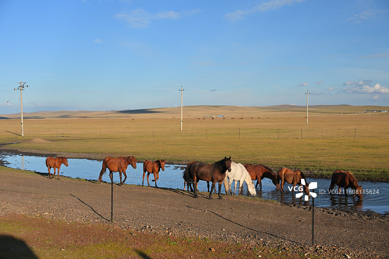 秋日内蒙古草原图片素材