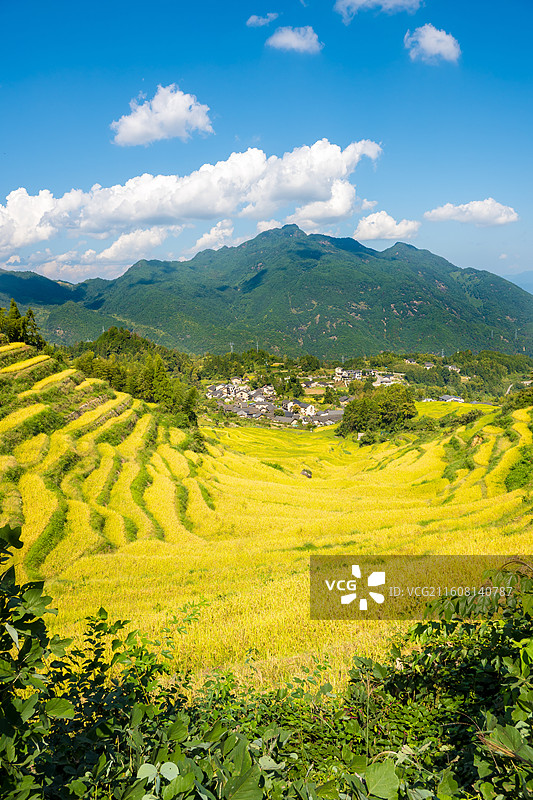 丽水云和梯田图片素材