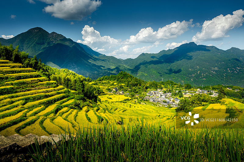 丽水云和梯田图片素材
