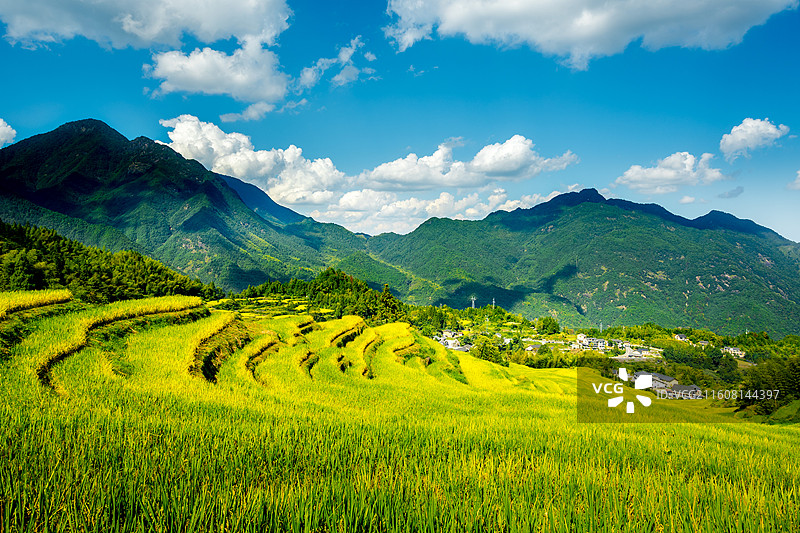 丽水云和梯田图片素材