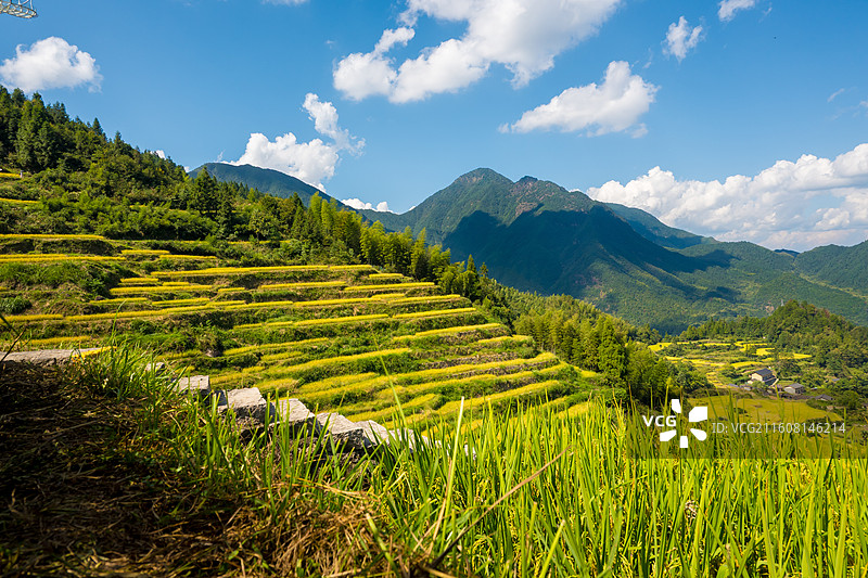 丽水云和梯田图片素材