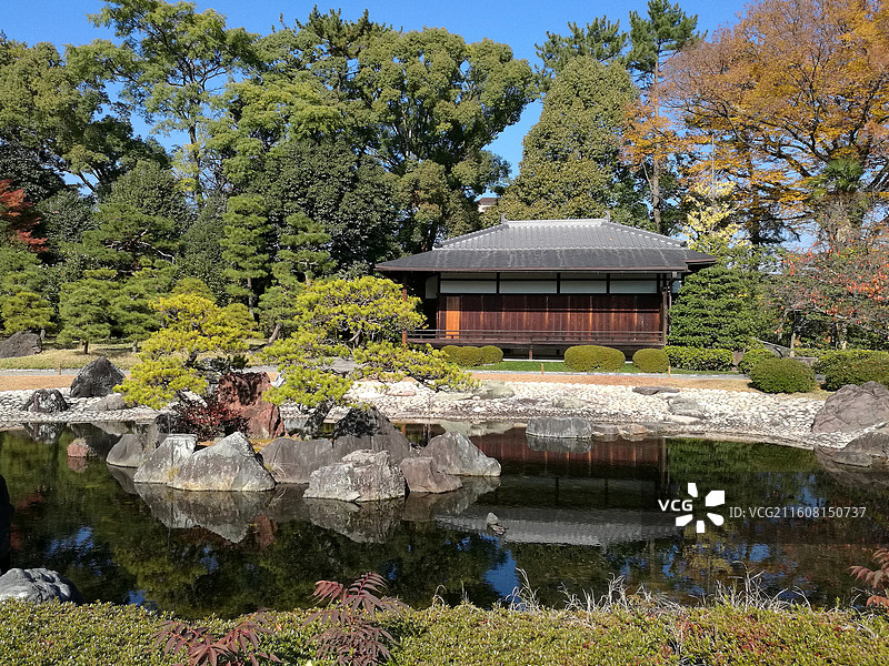 日本京都二条城世界文化遗产德川家康江户幕府本丸御殿二之丸御殿庭院唐门秋天红枫图片素材