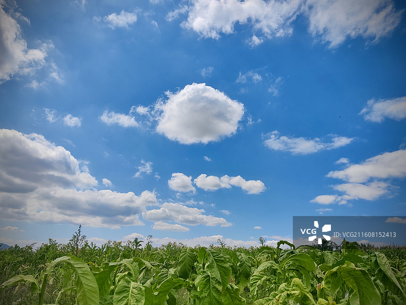 大美贵州，多彩威宁县迤那镇田园风光图片素材