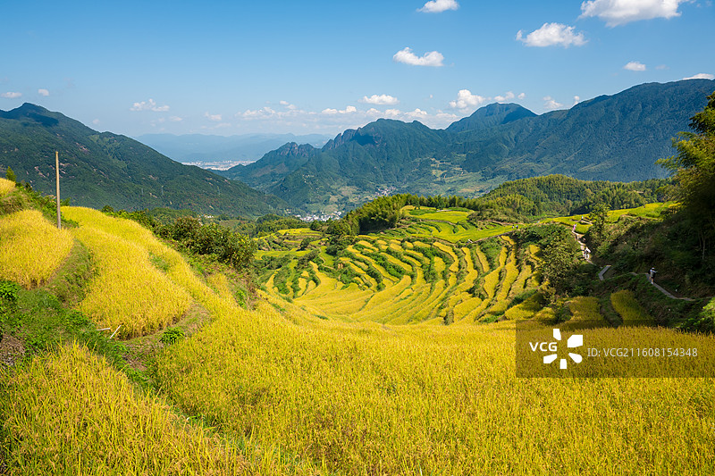 丽水云和梯田图片素材