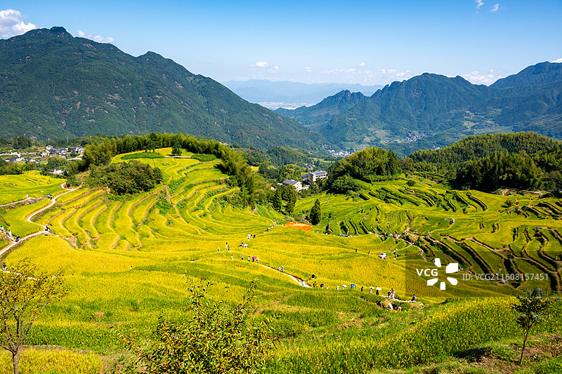 丽水云和梯田图片素材