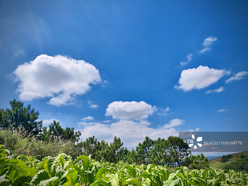 大美贵州，多彩威宁县迤那镇田园风光图片素材