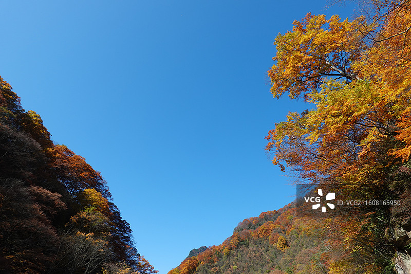 四川省巴中市南江县光雾山诺水河世界地质公园：米仓山景区：大小兰沟秋景秋色图片素材