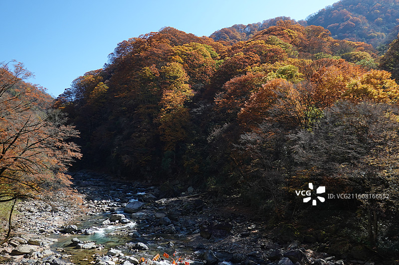 四川省巴中市南江县光雾山诺水河世界地质公园：米仓山景区：大小兰沟秋景秋色图片素材