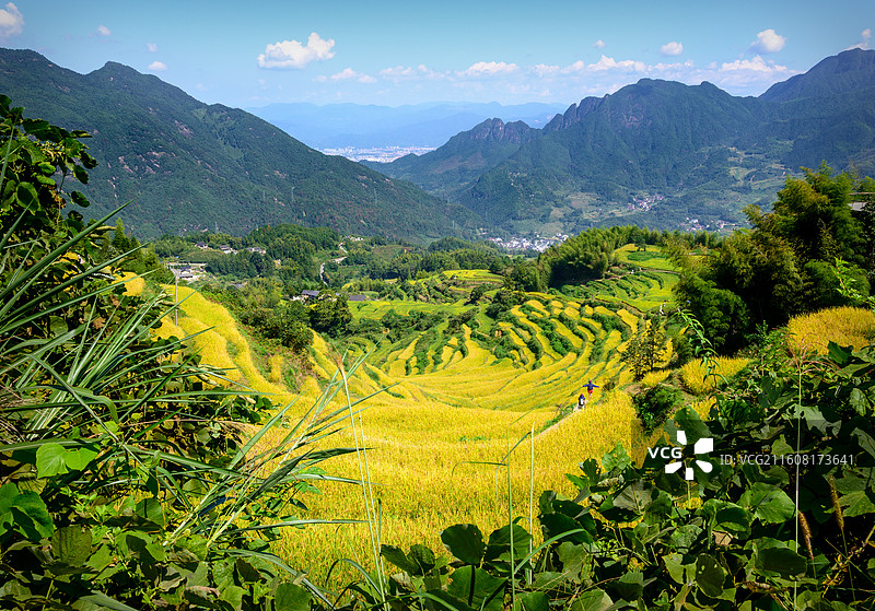 丽水云和梯田图片素材