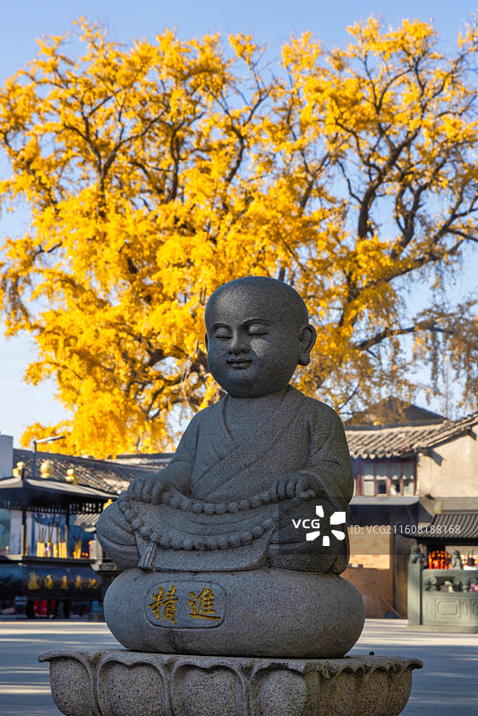 苏州太平老街银杏秋景图片素材