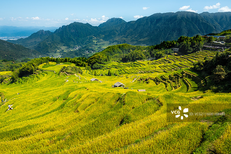 丽水云和梯田图片素材