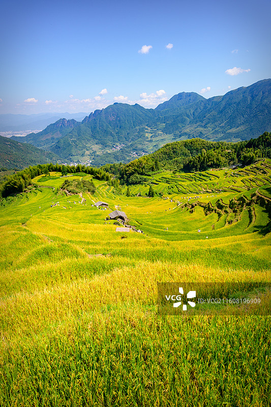 丽水云和梯田图片素材