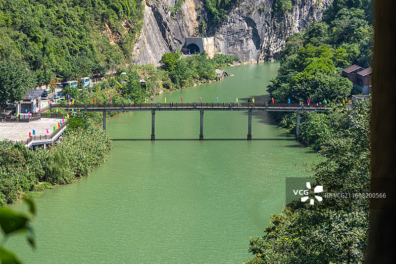 重庆 雪玉洞 野生 猴子 猕猴图片素材