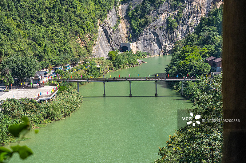 重庆 雪玉洞 野生 猴子 猕猴图片素材