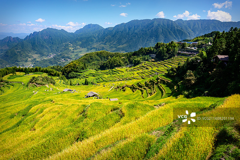 丽水云和梯田图片素材
