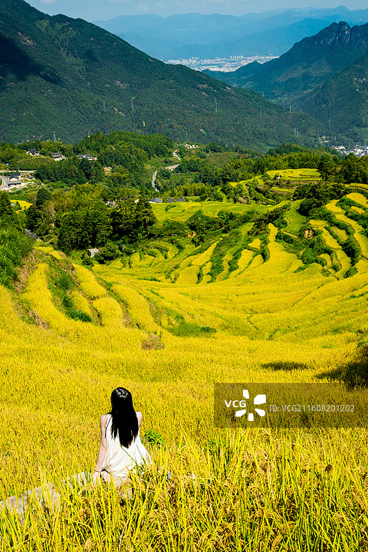 丽水云和梯田图片素材