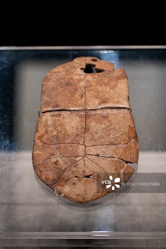 河南博物院 新石器时代裴李岗文化 刻符龟甲 甲骨文 舞阳县贾湖出土图片素材