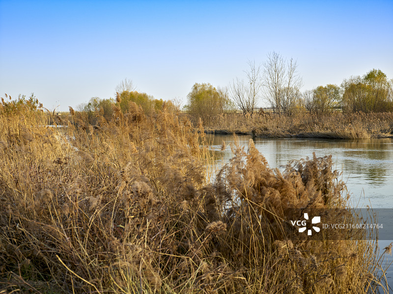 河北省石家庄市滹沱河生态旅游区摄影图片图片素材