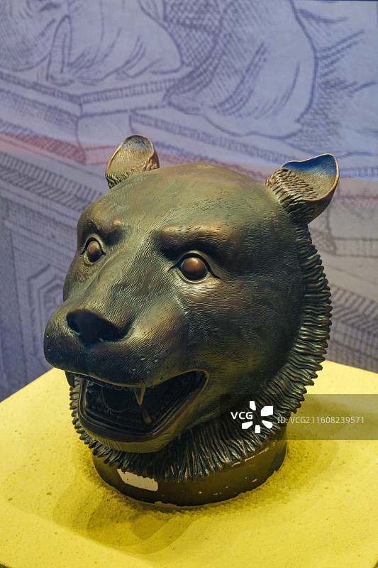 圆明园虎首铜像（仿制品） 原件中国国家博物馆藏 北京圆明园博物馆展览（正觉寺三圣殿）图片素材