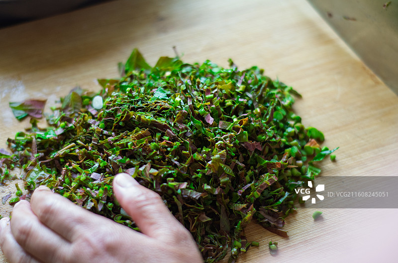 手抓切碎的绿色香椿图片素材