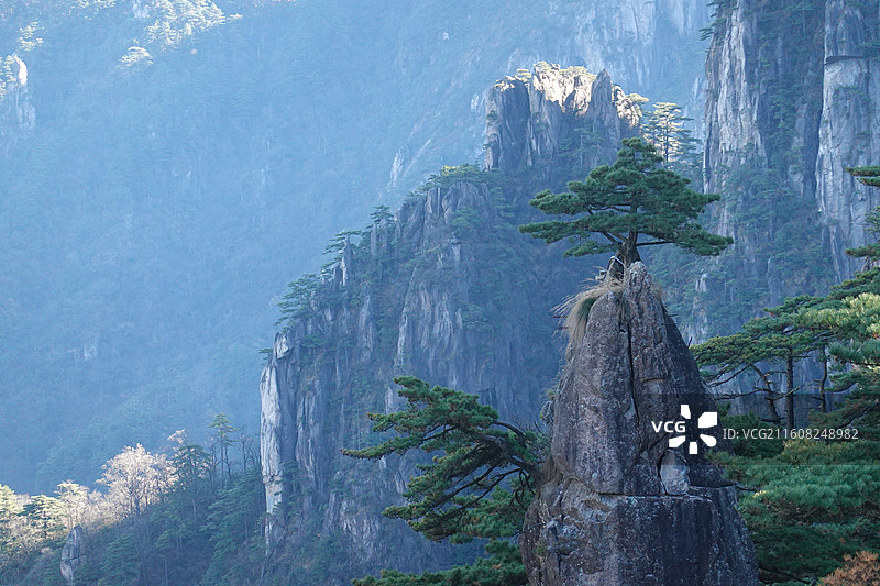 安徽省黄山市黄山风景区：北海景区散花坞梦笔生花扰龙松图片素材