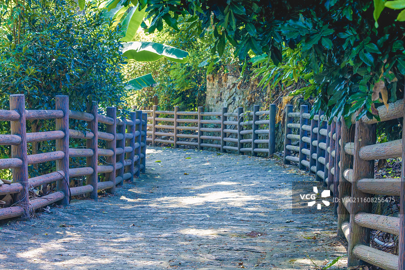 小渔岛上的风光图片素材