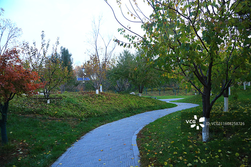 雄安新区悦榕公园美景抓拍图片素材